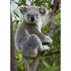 Cute Koala - Full Round Diamond Painting
