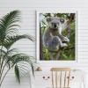 Cute Koala - Full Round Diamond Painting