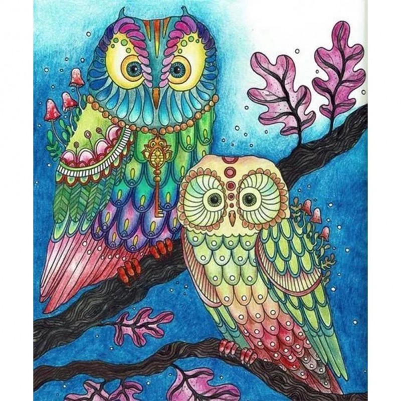 Colorful Owl-Full Ro...