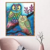 Colorful Owl-Full Round Diamond Painting