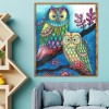 Colorful Owl-Full Round Diamond Painting