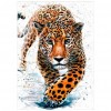 Leopard  - Full Round Diamond Painting