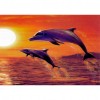 Dolphin - Full Round Diamond Painting