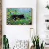 Black Bear -Full Round Diamond Painting