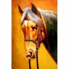 Horse - Full Round Diamond Painting