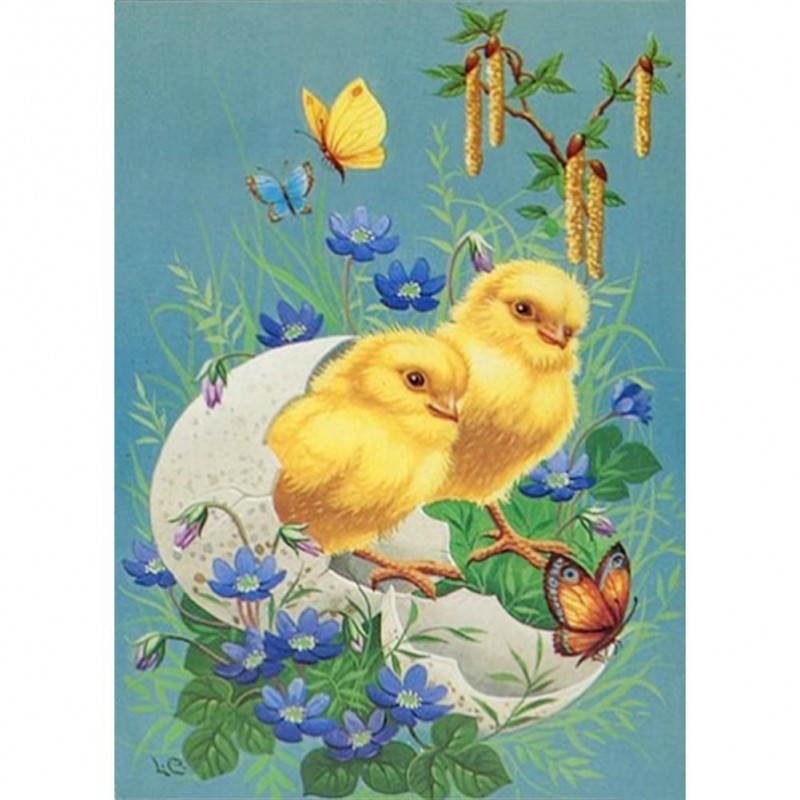 Chicken - Full Round...