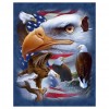 Eagle - Full Round Diamond Painting