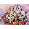 Lovely Little Cats - Full Round Diamond Painting