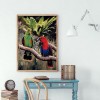 Parrot - Full Round Diamond Painting