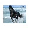 Running Horse - Partial Round Diamond Painting