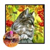 Fruit Cat-Full Round Diamond Painting