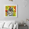 Fruit Cat-Full Round Diamond Painting