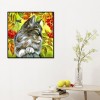 Fruit Cat-Full Round Diamond Painting