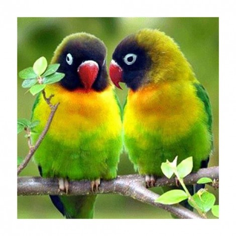 Parrots - Partial Round Diamond Painting