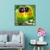 Parrots - Partial Round Diamond Painting