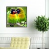 Parrots - Partial Round Diamond Painting