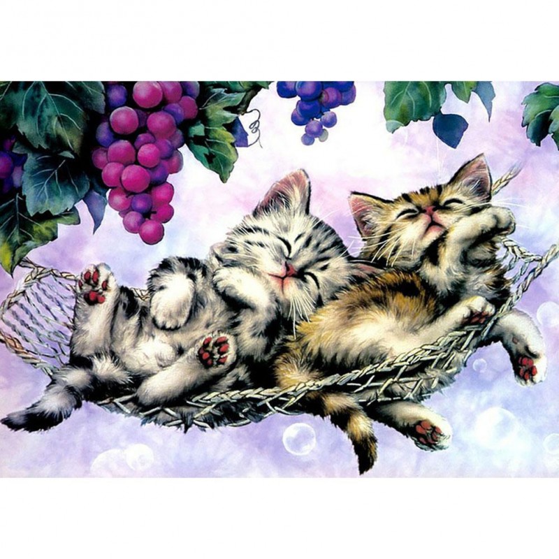 Sleeping Cat - Full ...