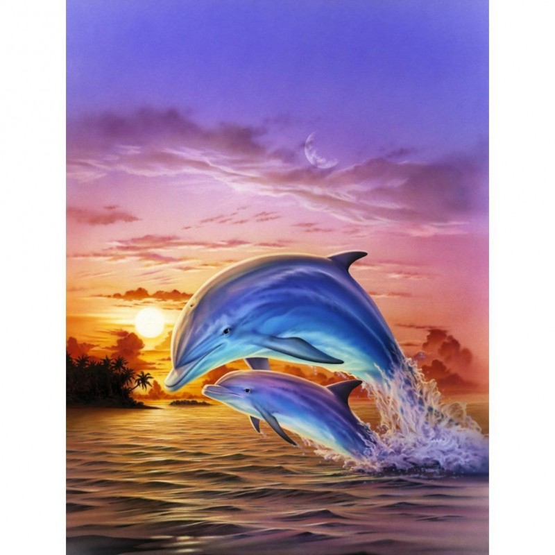 Dolphin - Full Round...