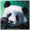 Panda - Full Round Diamond Painting