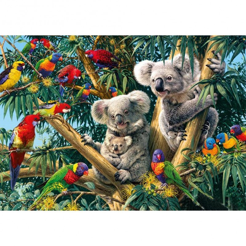 Iridescence Koala - ...