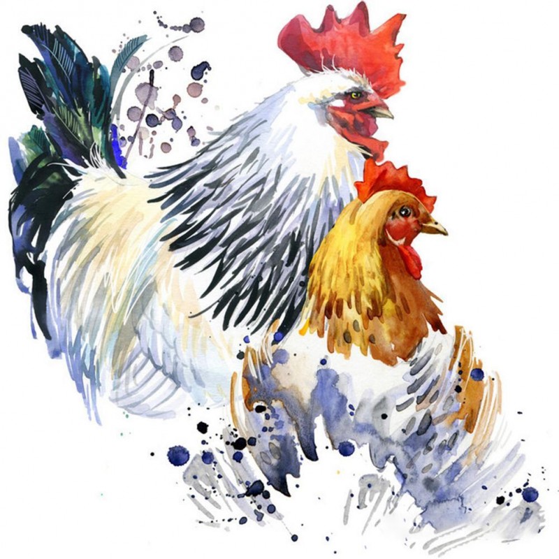 Rooster - Full Round...