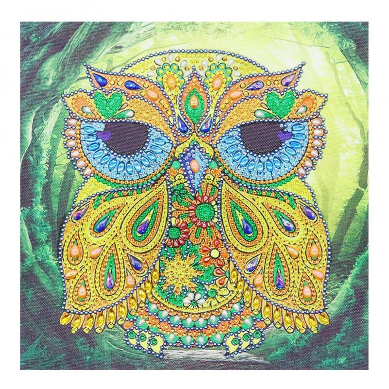Owl - Crystal Rhines...
