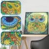 Owl - Crystal Rhinestone Diamond Painting