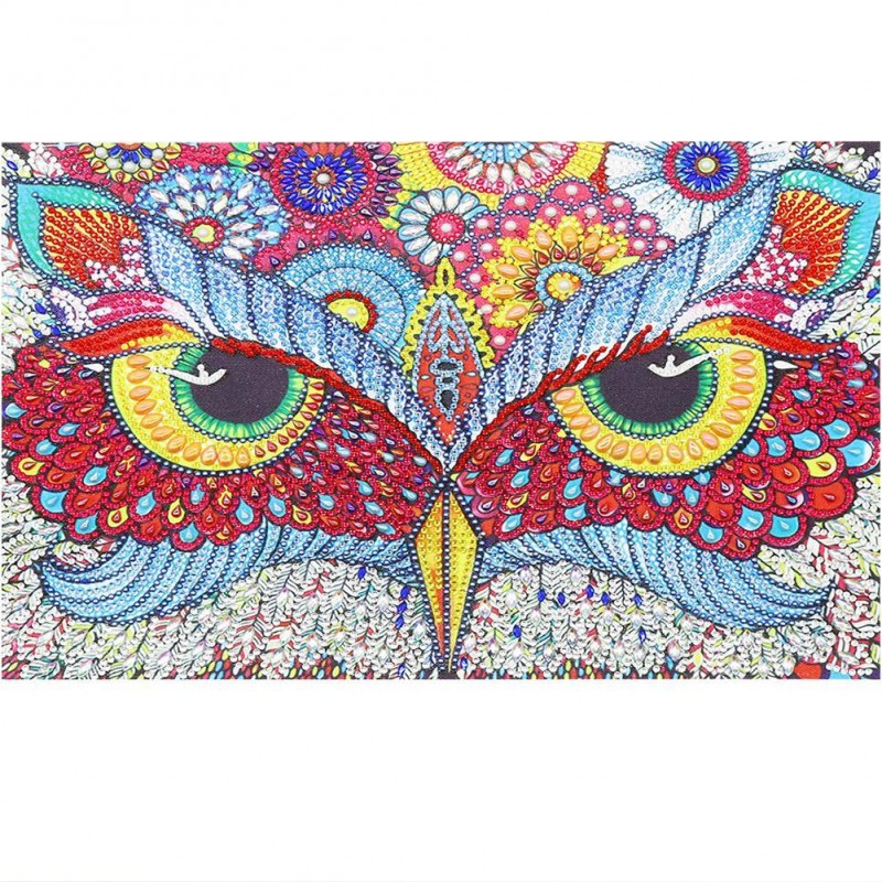 Owl - Crystal Rhines...
