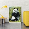Panda - Full Round Diamond Painting