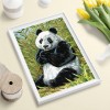 Panda - Full Round Diamond Painting