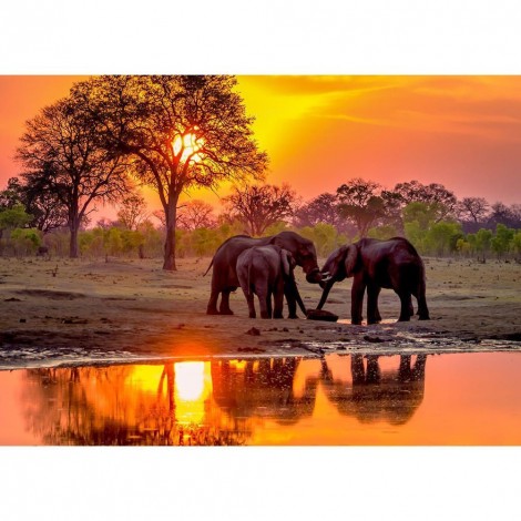 Sunset Elephant - Full Round Diamond Painting