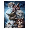Owl - Full Round Diamond Painting