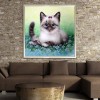 Grey Cat - Partial Round Diamond Painting