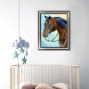 Horse - Full Round Diamond Painting