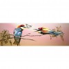 Birds - Full Round Diamond Painting(80x30cm)