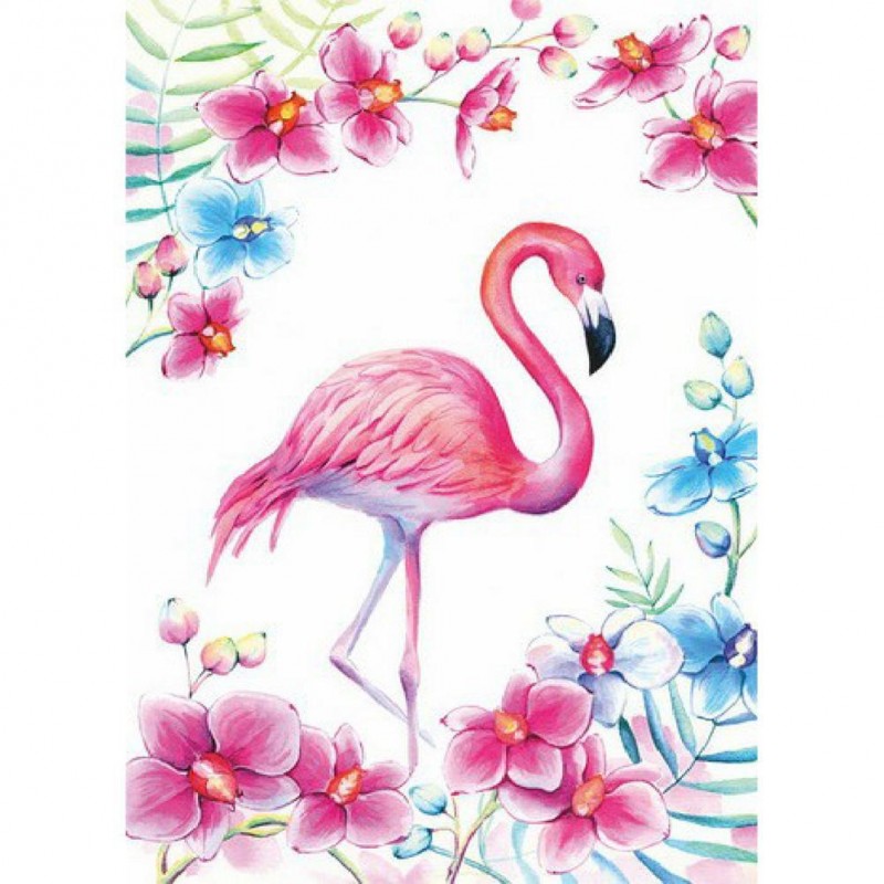 Flamingo Bird - Full...