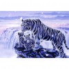 Tiger - Full Round Diamond Painting