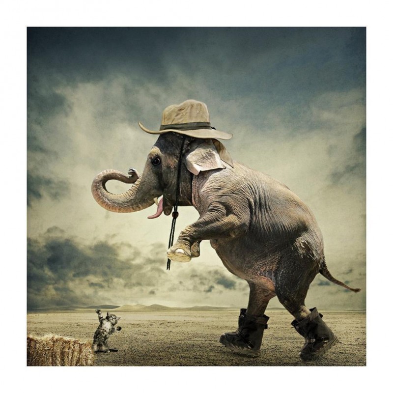 Standing Elephant - ...