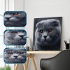 Cat - Full Round Diamond Painting(25*25cm)