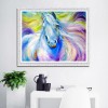Horse  - Full Round Diamond Painting
