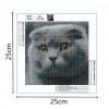 Cat - Full Round Diamond Painting(25*25cm)