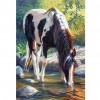 Drinking Horse - Full Round Diamond Painting