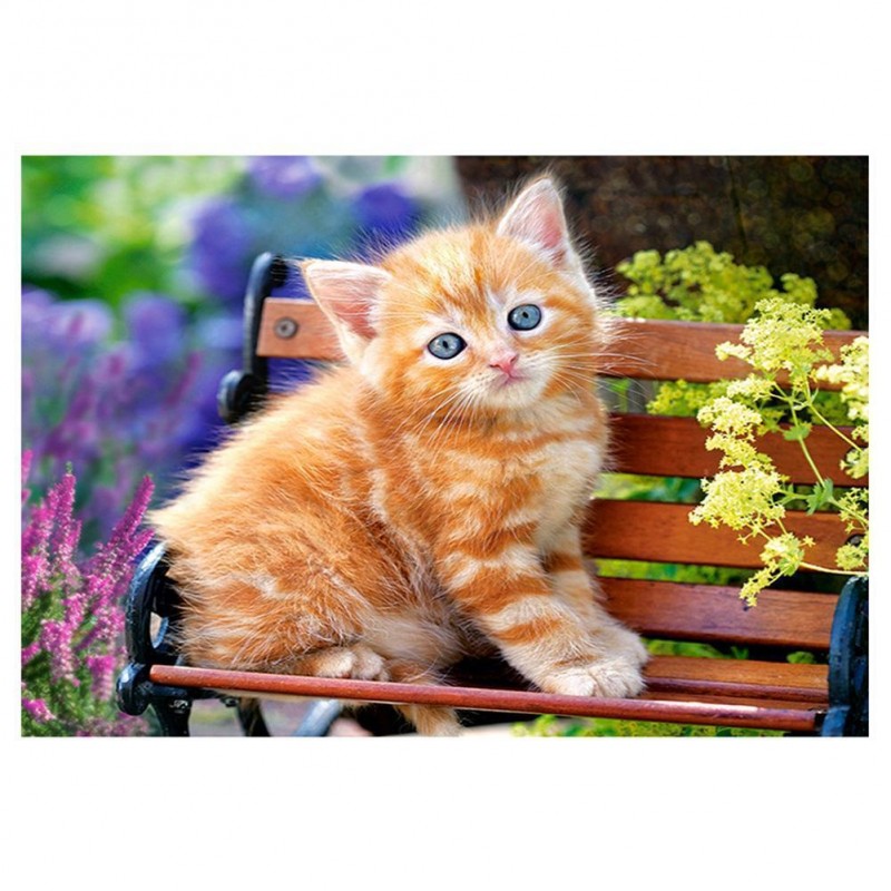 Sitting Cat - Full R...