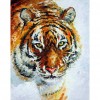 Tiger - Full Round Diamond Painting