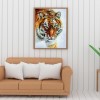 Tiger - Full Round Diamond Painting