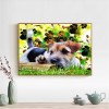 Dog - Full Round Diamond Painting