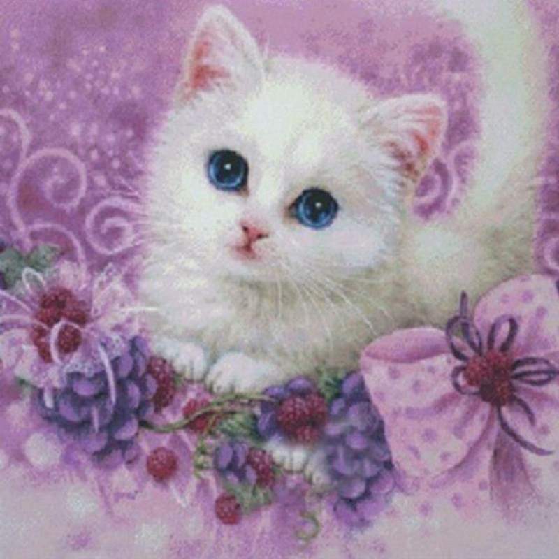 Cute Little Cat - Pa...