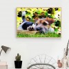 Dog - Full Round Diamond Painting