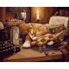 Sleeping Cat - Full Round Diamond Painting