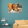 Dog Cat- Full Round Diamond Painting